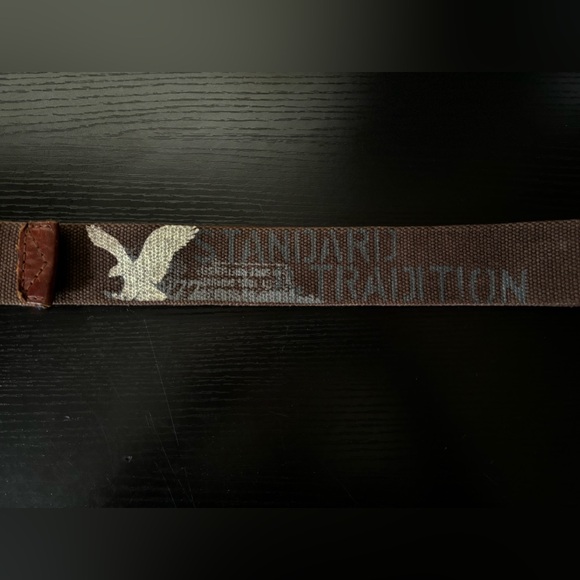 Vintage American Eagle Belt (Small) - Picture 3 of 11